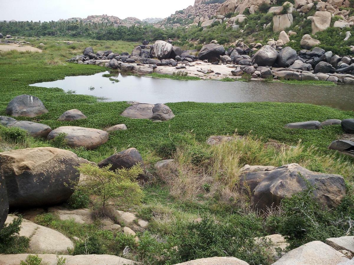Riverside Homestay Hampi Esterno foto